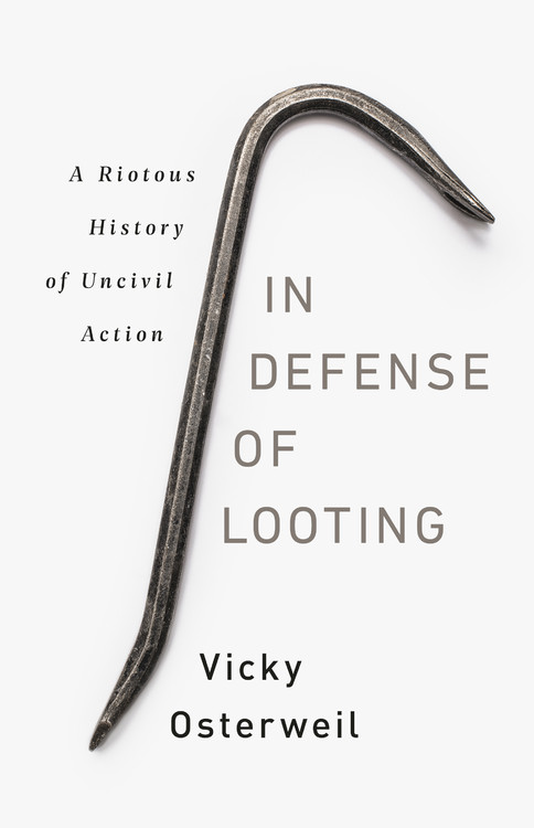 In Defense of Looting by Vicky Osterweil | Bold Type Books